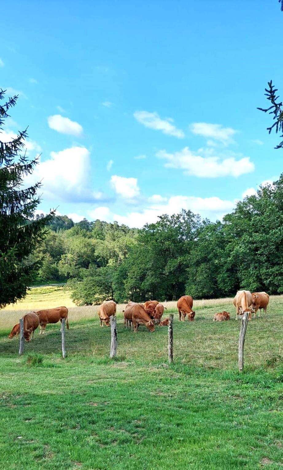 Hébergement de vacances Cosy En Pleine Nature Dans Maison En Pierre Avec Piscine Et Wifi