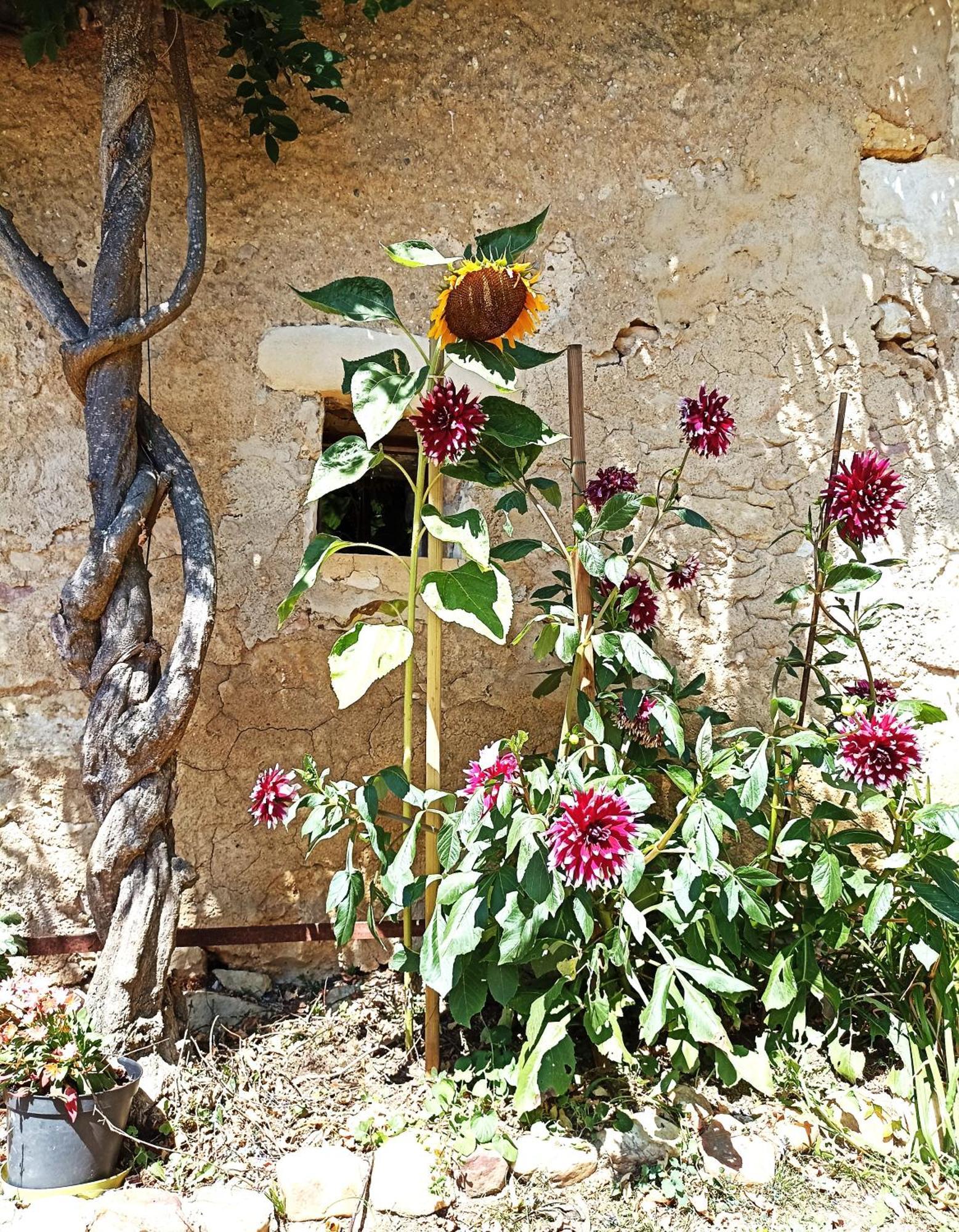 Cosy En Pleine Nature Dans Maison En Pierre Avec Piscine Et Wifi Saint-Romain-et-Saint-Clément