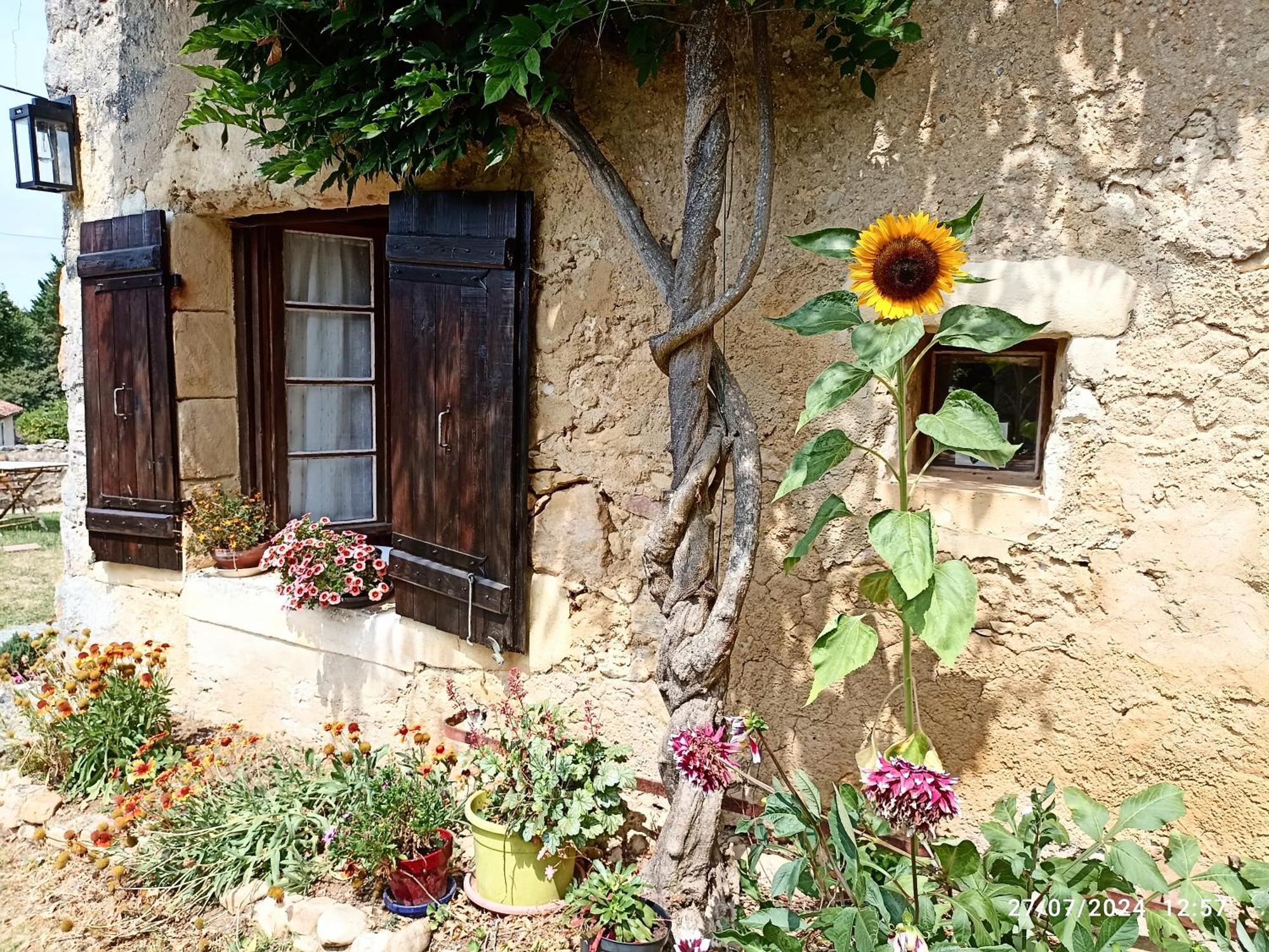 Cosy En Pleine Nature Dans Maison En Pierre Avec Piscine Et Wifi Hébergement de vacances